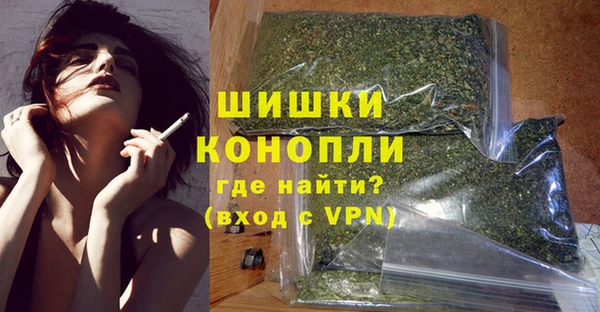 ECSTASY Белокуриха