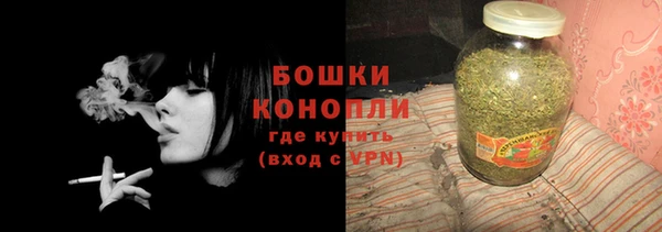 ECSTASY Белокуриха