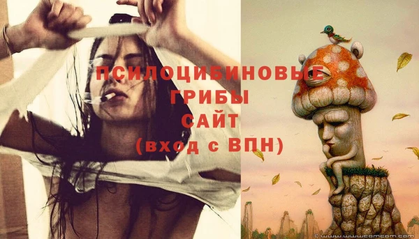 шишки Балабаново
