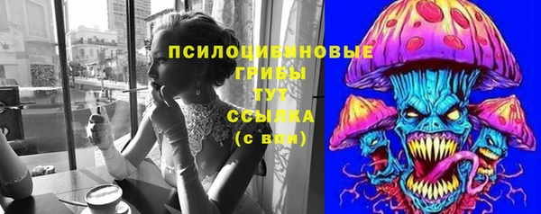 ECSTASY Белокуриха