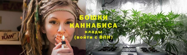 ECSTASY Белокуриха